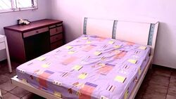 Pending Road (Bukit Panjang), HDB 2 Rooms #556527761